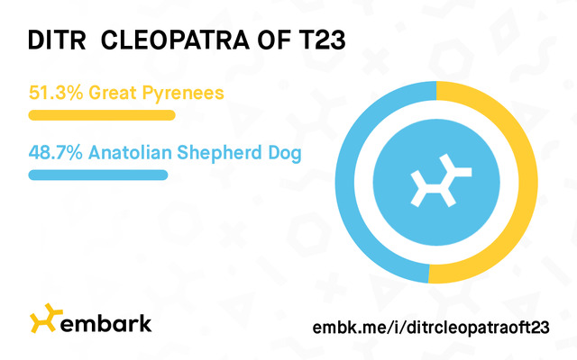 ditrcleopatraoft23